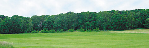 09-Golfplatz-Kopie-w2000.jpg